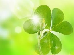 Hạnh phúc chân thật là gì?