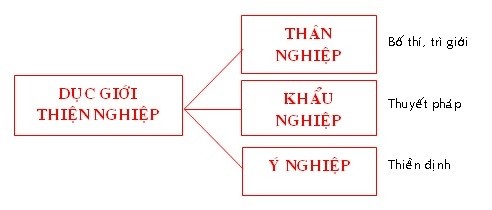 nguoiphattu.com_vi dieu phap02.jpg