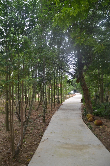 dao trang huong phap00.jpg