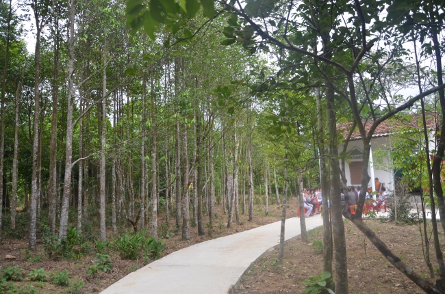dao trang huong phap02.jpg