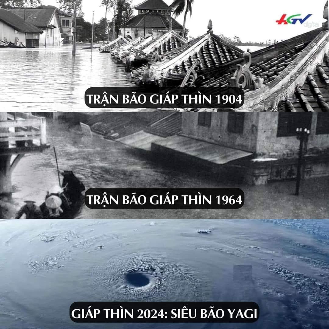 nhungconbaonamgiapthin_baoyagi_60nam_.jpg