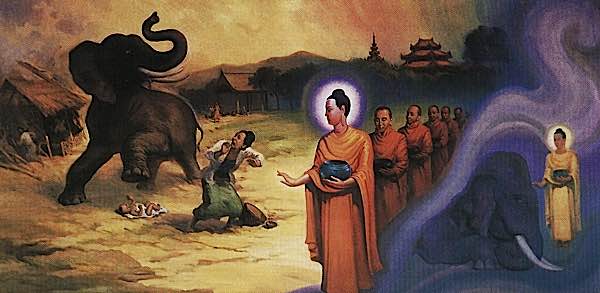 hoagiaihanthu_hieuvathuong.jpg