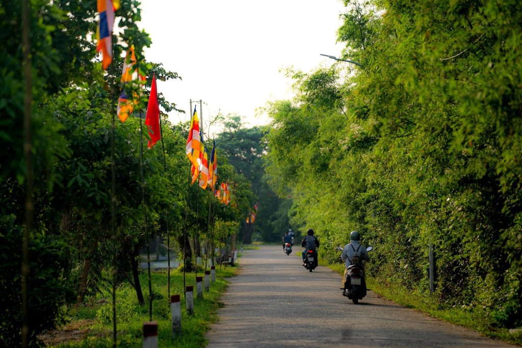 hue-ruc-ro-co-hoa-chao-mung-dai-le-phat-dan_nguoiphattu16.jpg