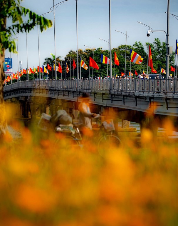 hue-ruc-ro-co-hoa-chao-mung-dai-le-phat-dan_nguoiphattu6.jpg