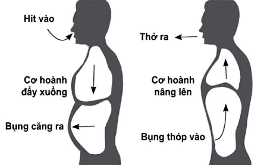 bai-tap-tho-giup-co-the-thai-doc-khoe-manh-deo-dai.jpg