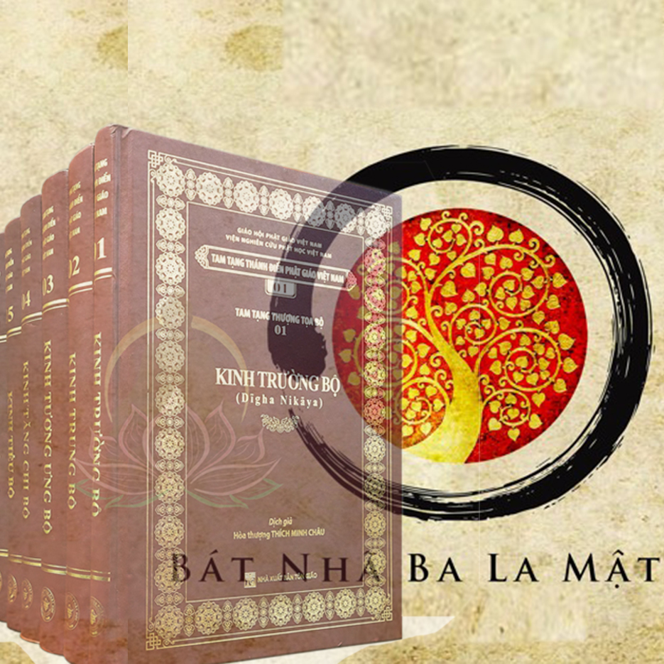 ung-dung-bat-nha-vao-doi-song-theo-tinh-than-kinh-nikaya.jpg