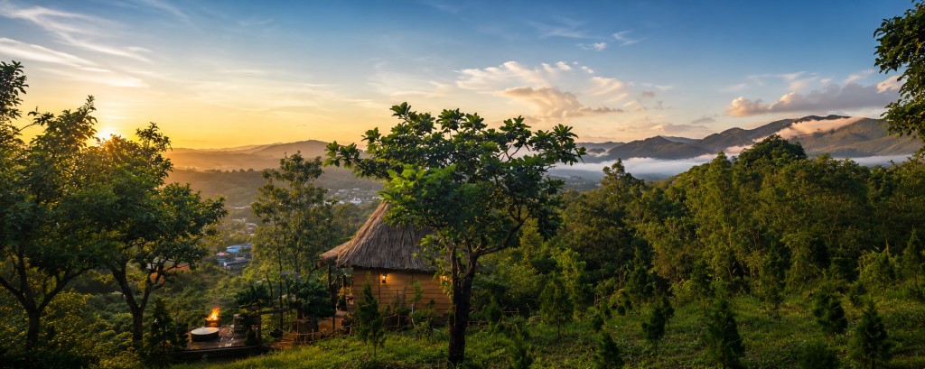 doi-thong-phuong-boi-tu-phuong-boi-am-den-tung-lam-that0.jpg