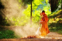 Thiểu dục tri túc một góc nhìn về chủ nghĩa tiêu thụ và bảo vệ môi trường của Phật giáo