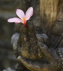 Một ngày qua đi, mạng sống vơi dần: Suy niệm về sự vô thường