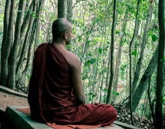 Tu Thiền Vipassana có ý nghĩa gì ?
