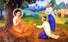 Trách nhiệm xã hội của người cư sĩ trong thời đại mới