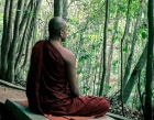 Tu Thiền Vipassana có ý nghĩa gì ? 