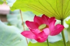 Nghiệp thức và chuyển hóa 