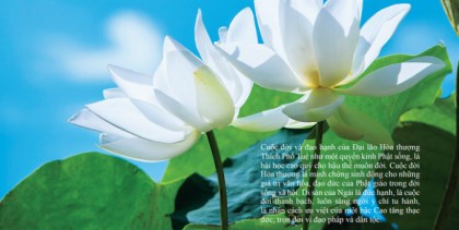 Đại lão Hòa thượng Thích Phổ Tuệ: Một nhân cách lớn, một tấm gương sáng ngời vì Đạo pháp và Dân tộc