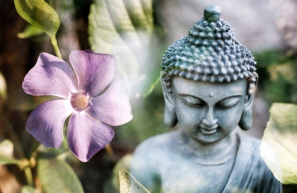 'Đạo Phật không cần đến những đoàn người theo Đạo Phật' * 