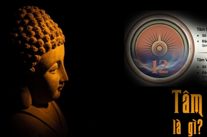 Tâm là gì? Góc nhìn Abhidhamma giữa đời sống hiện đại