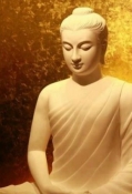 Tại sao tất cả người xuất gia Phật giáo đều lấy họ Thích?