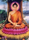 Vì sao tôi theo đạo Phật