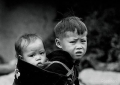 Hạt cơm mùa Vu lan