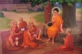 Lời Phật dạy: Con Rùa và Dã Can