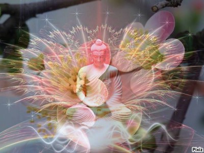 Năm pháp khiến Chánh pháp không diệt ở thời mạt pháp