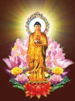 Phật Thuyết Kinh A Di Ðà