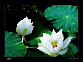 Sự hy sinh và hạnh phúc gia đình