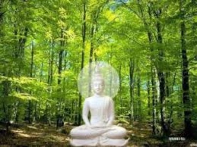 Biến đổi khí hậu môi trường từ góc nhìn đạo Phật