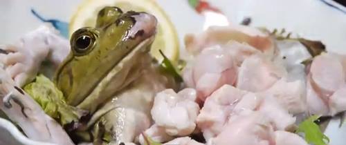 Ăn thịt ếch bị báo oán như thế nào