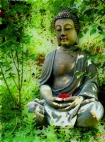 Đạo Phật đối với vấn đề phát triển và bảo vệ môi trường lâu bền