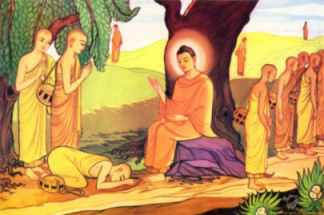 Đức Phật dạy các Tỳ kheo pháp môn về khu rừng 