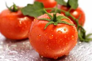 Tác dụng chữa bệnh của cà chua