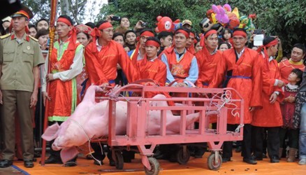 Đề nghị chấm dứt Lễ hội chém lợn tại Bắc Ninh