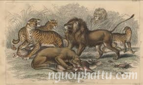 Suy luận về bài kinh Phật bàn về "Cân bằng quyền lực"