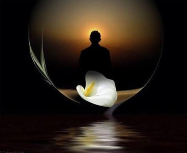 Đời sống tam thường bất túc