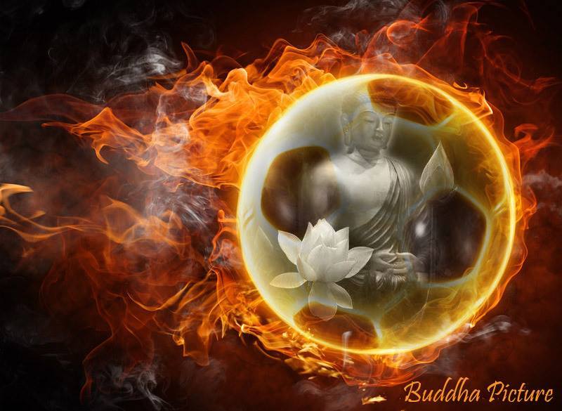 Cốt lõi giáo huấn của Phật giáo là gì? (Phần 1)