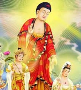 Hành trình Đức Phật A Di Đà tu tập đắc đạo như thế nào?