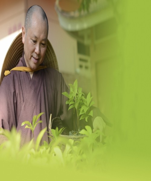 Đời em thật hạnh phúc