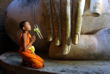 Làm gì khi bị người thân phản đối học Phật, lạy Phật, tụng kinh ?