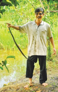 Năm Tỵ kể chuyện những thầy thuốc rắn