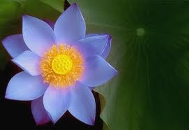 Đại phước trong đời