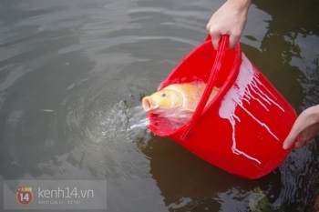 Cá bơi ngập sông Sài Gòn nhờ lễ phóng sinh mùa Phật Đản