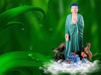 Giải đáp thắc mắc tu pháp môn Tịnh độ (8)