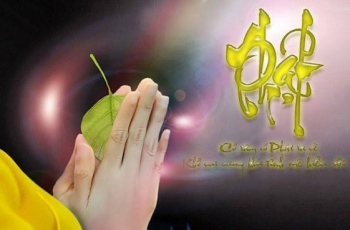 Những việc trọng yếu khi tu học Phật