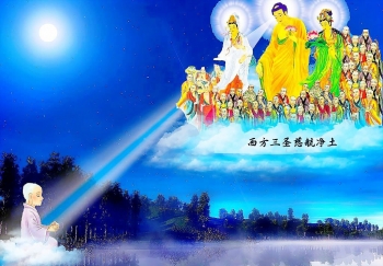 Hướng về miền Tịnh Độ