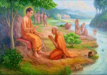 Lời Phật dạy: Tinh cần và sợ hãi