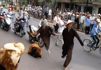 Bất bình trước kẻ &quot;mượn&quot; áo sư làm hại uy tín nhà chùa