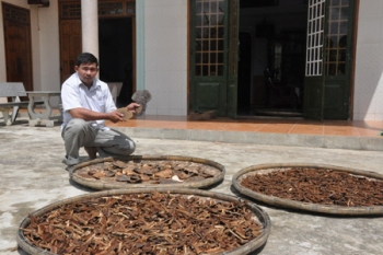 Bài thuốc thần kỳ khắc chế ung thư và bệnh gan