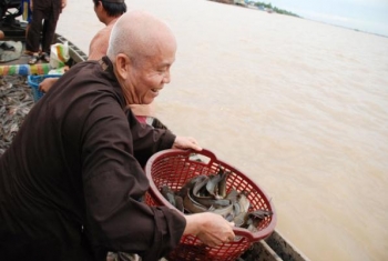 Chùa Hoằng Pháp: Phóng sanh 8,2 tấn cá tại miền Tây