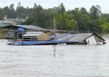 Trung ương Giáo hội ra thông bạch vận động cứu trợ lũ lụt các tỉnh Đồng bằng sông Cửu Long